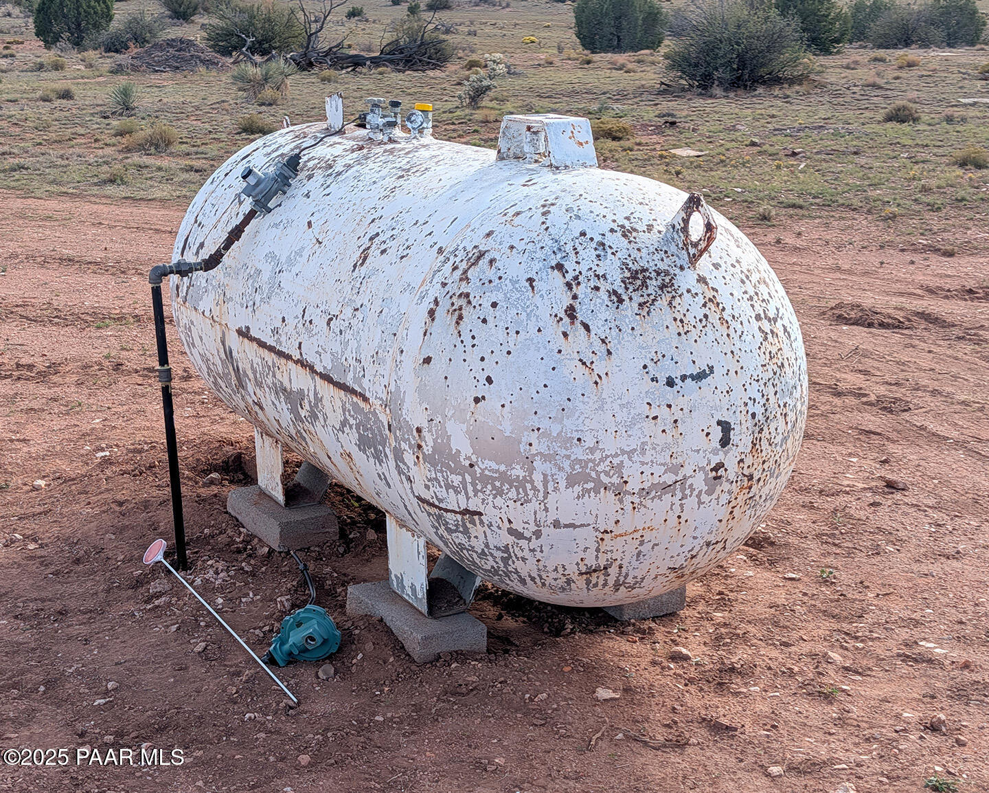 0 West Via Dolorosa Road Seligman, AZ 86337 - Photo 10 of 39 a view of a wooden floor with a plant in the background