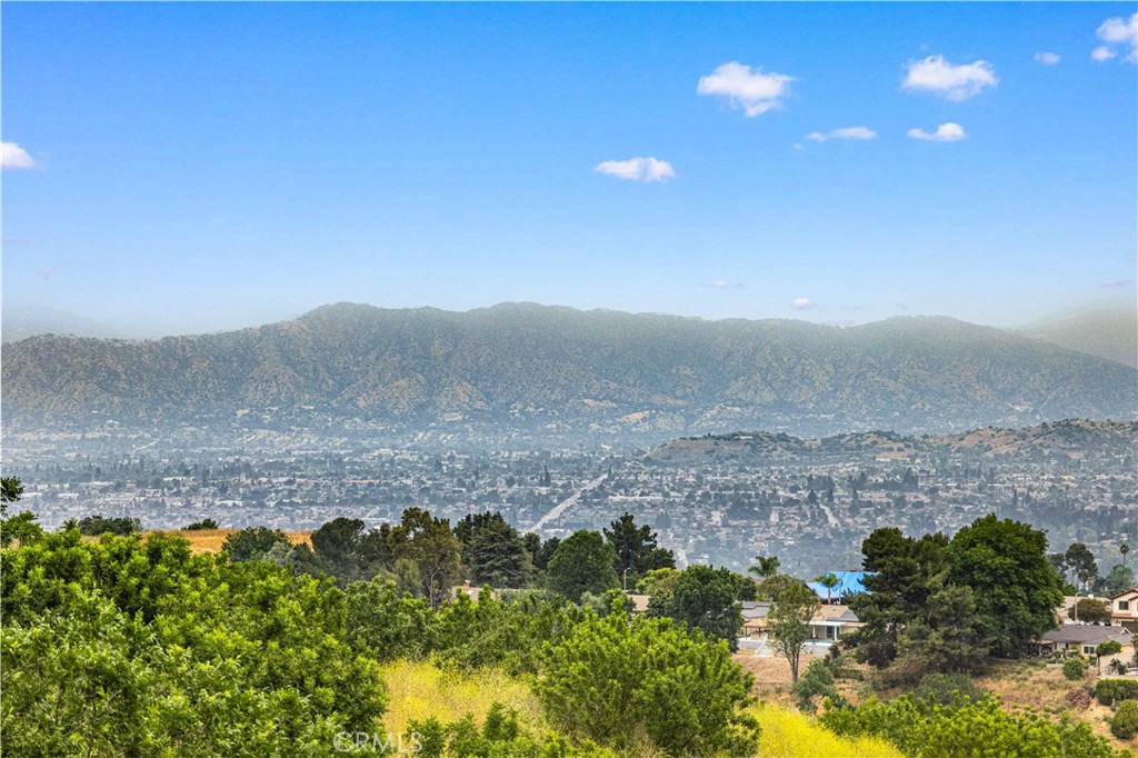 20105 Shadow Mountain Road Walnut, CA 91789 - Photo 47 of 61