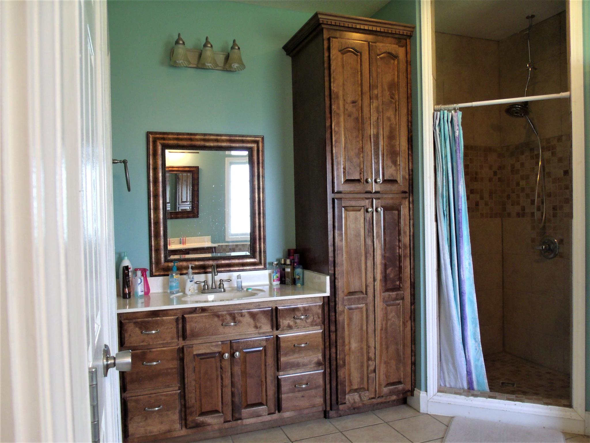 3550 Williams Cove Road Winchester, TN 37398 - Photo 14 of 26 a bathroom with a sink a mirror and a shower