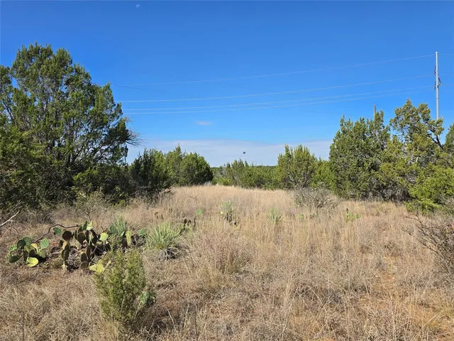a view of a yard with trees in the background