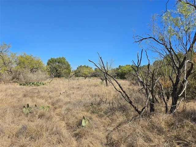a view of a dry yard