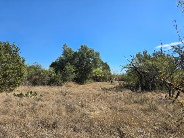 a view of a yard with a tree