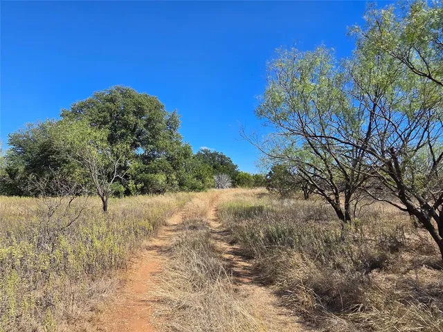 a view of a yard with trees