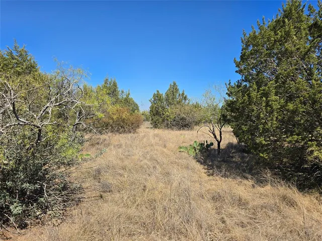 a view of a yard with a tree