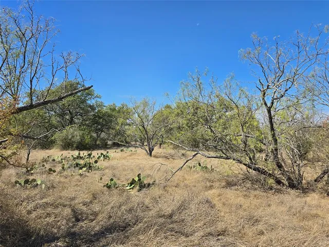 a view of a dry yard with trees