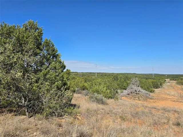 a view of a yard with large trees