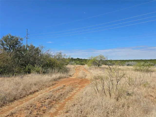 a view of a field of grass and trees