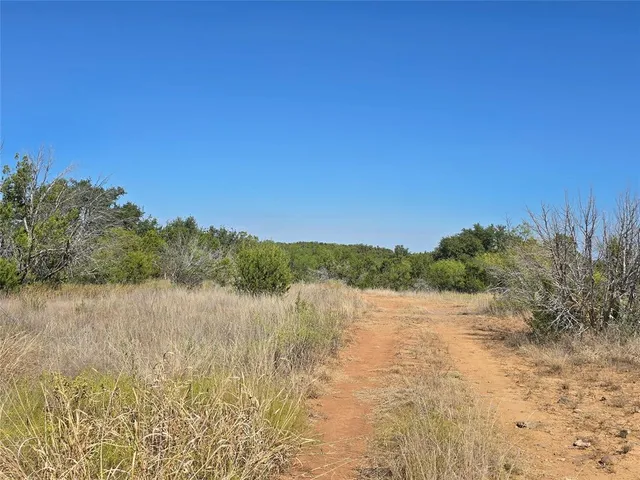 a view of a dry yard with trees