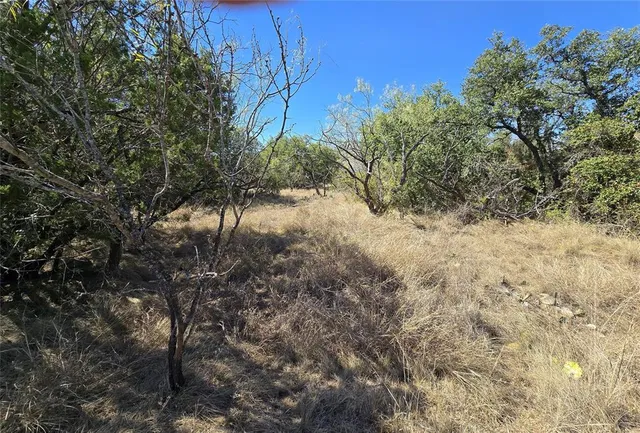 a view of a yard with a tree