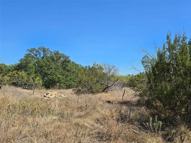 a view of a dry yard with trees in the background