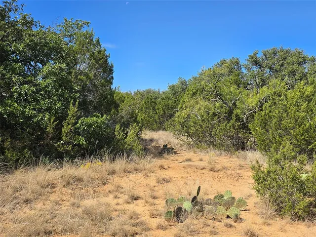 a view of a yard with trees in the background