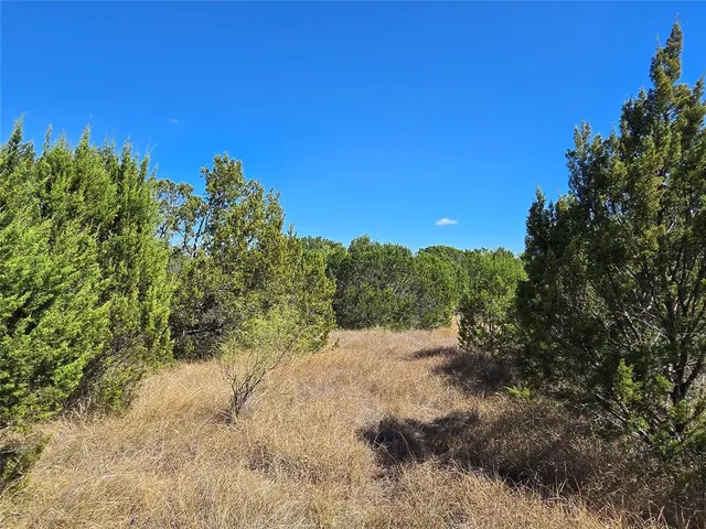 a view of a dry yard with trees