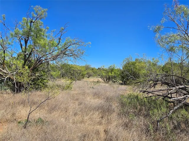 a view of lake and mountain