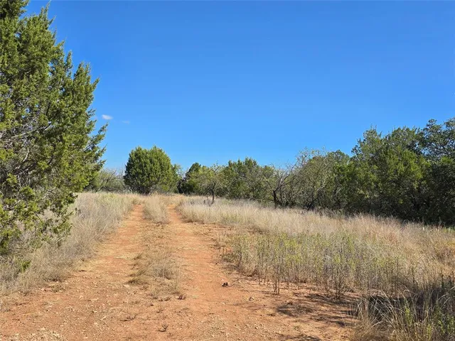 a view of a yard with a tree