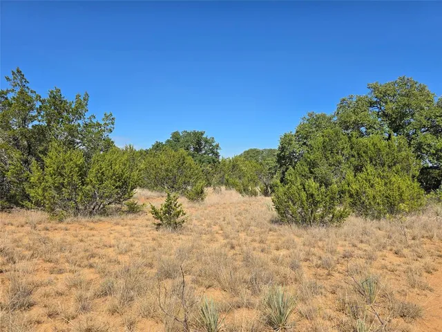 a view of a yard with plants and a trees