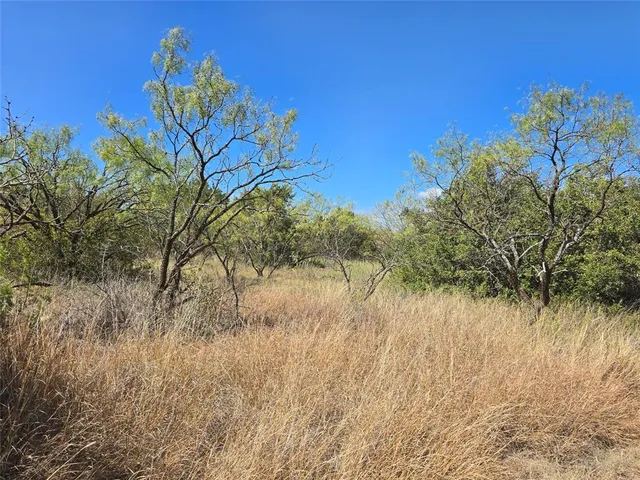a view of lake with green space