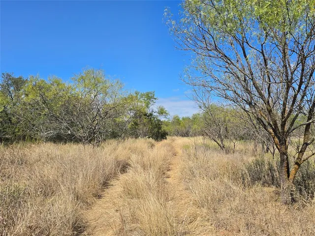 $724,085 | 108 Santa Anna Tx 76878, Santa Anna, TX 76878