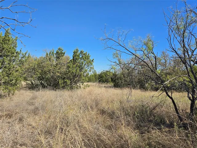 a view of a lake with a city