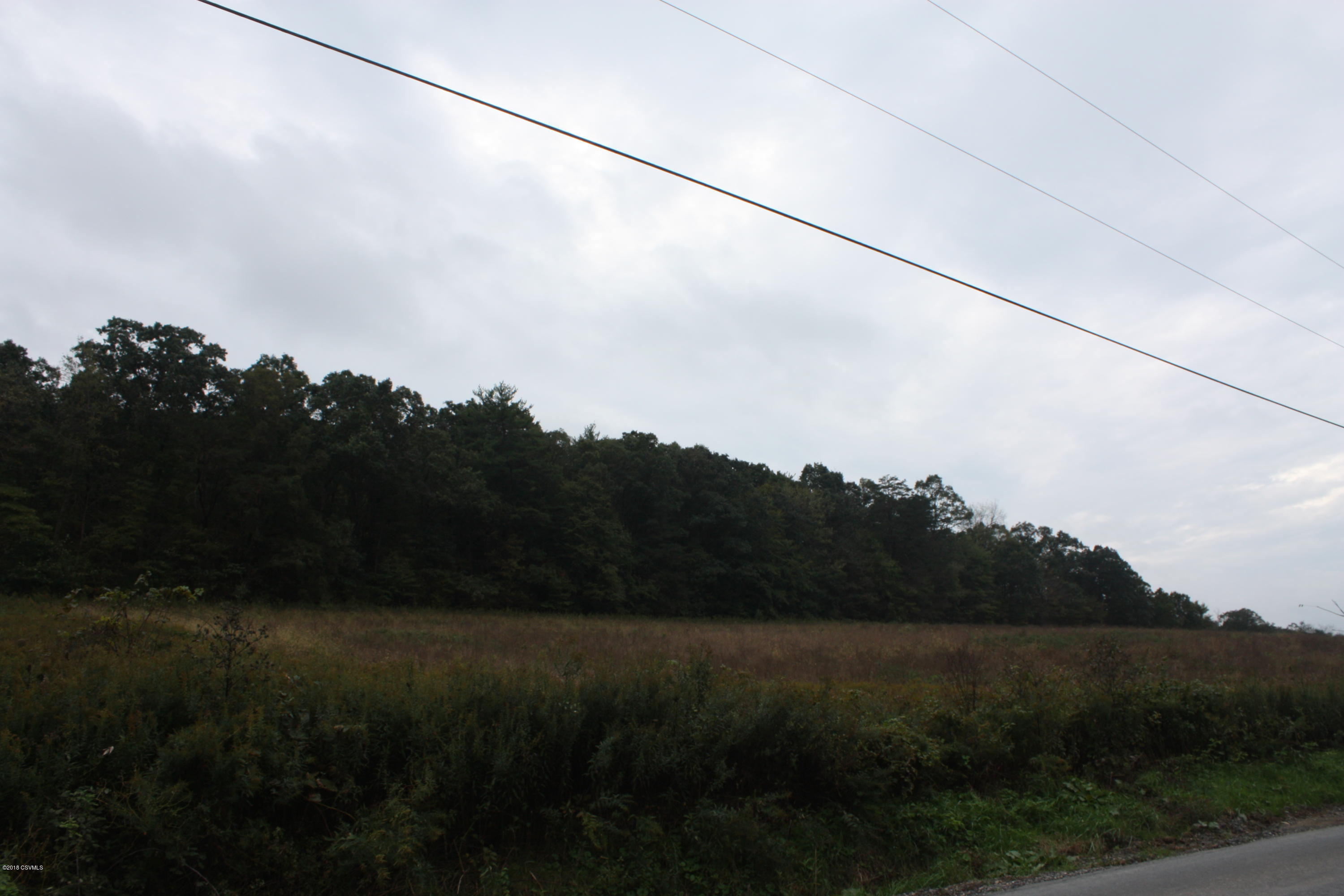 Lot 1 Produce Road Selinsgrove, PA 17870 - Photo 4 of 4 Gallery Image 4