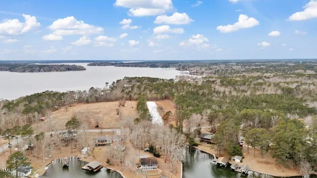 a street view with large trees