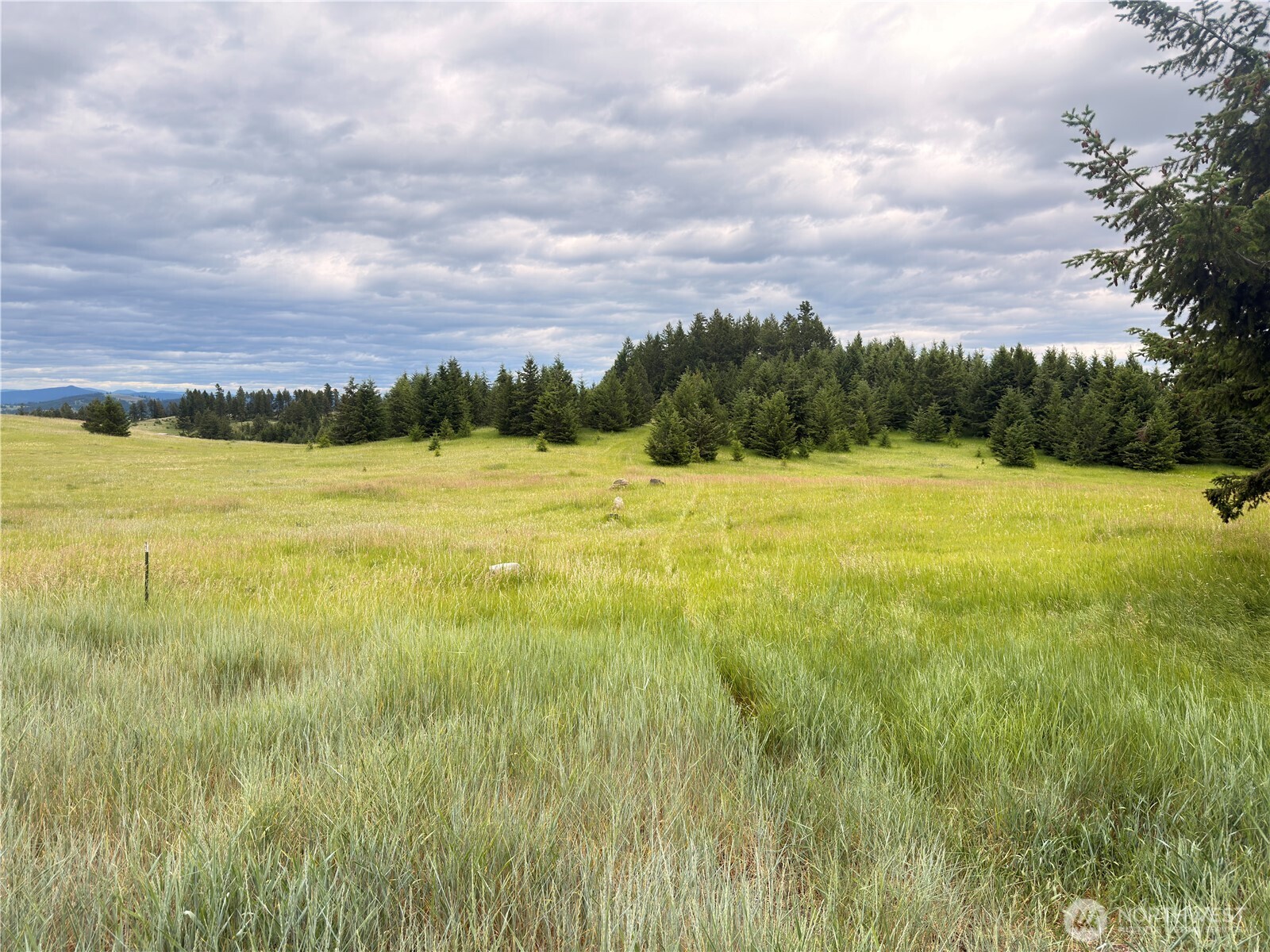12 South Teal Lake Road Oroville, WA 98844 - Photo 34 of 35