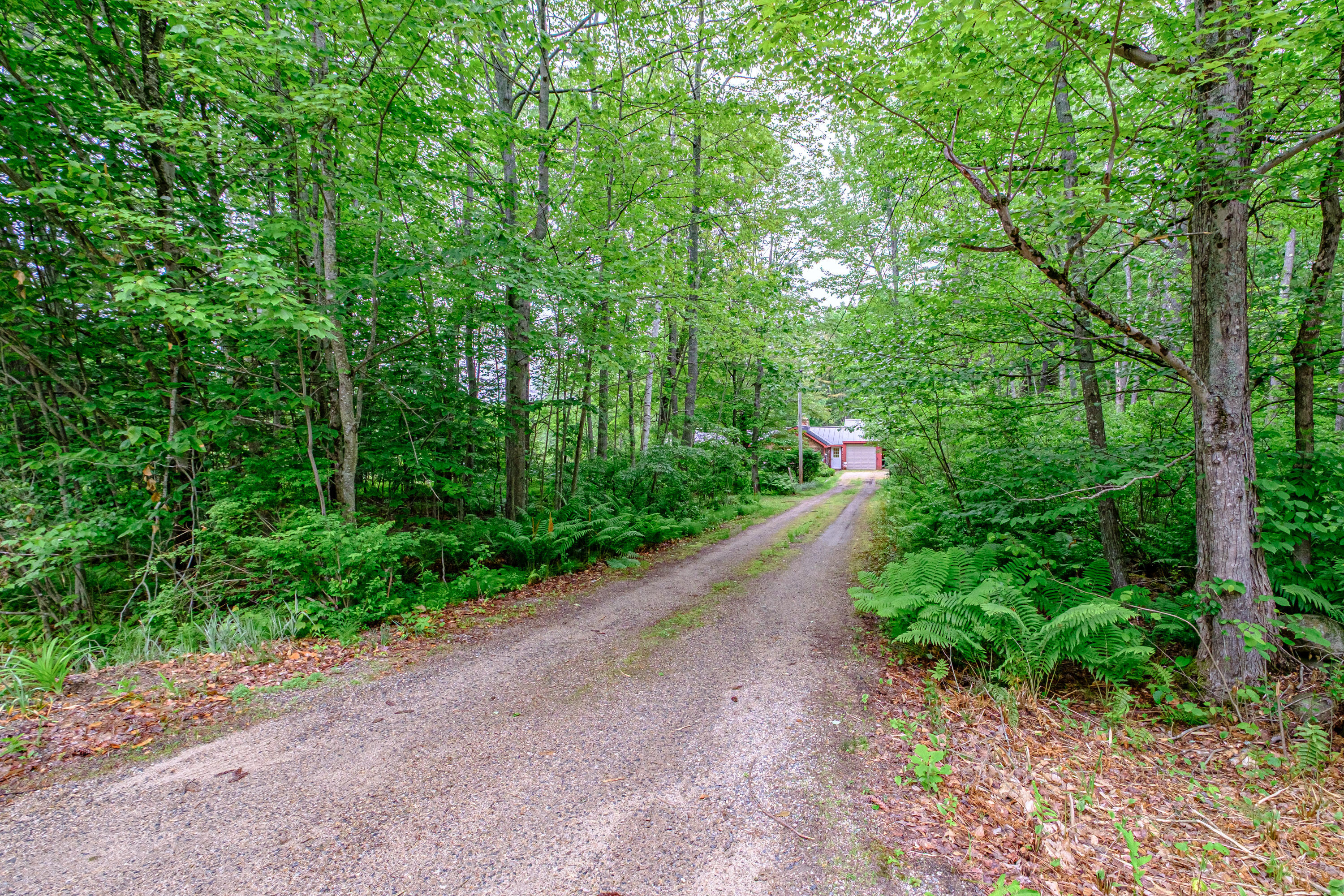 115 Wards Hill Road Baldwin, ME 04091 - Photo 9 of 77 20250610gp-64001