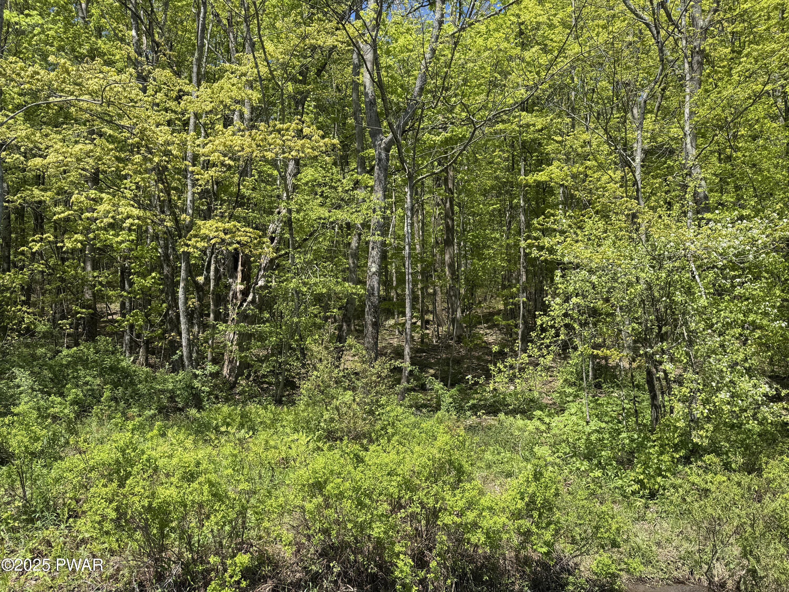 298 Maple Grove Road Starrucca, PA 18462 - Photo 18 of 20