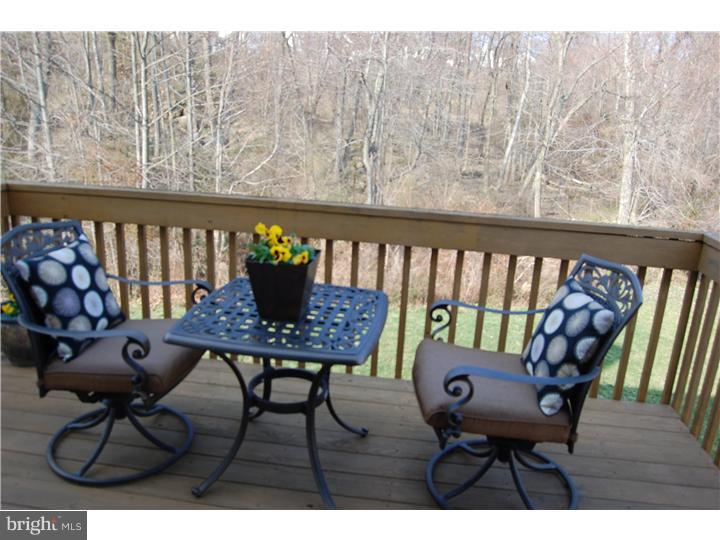 3831 Marsh Road Garnet Valley, PA 19060 - Photo 10 of 19 Deck