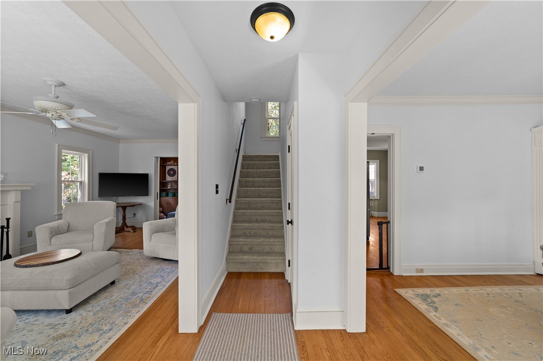 3336 Avalon Road Cleveland, OH 44120 - Photo 3 of 40 Gallery Image 3