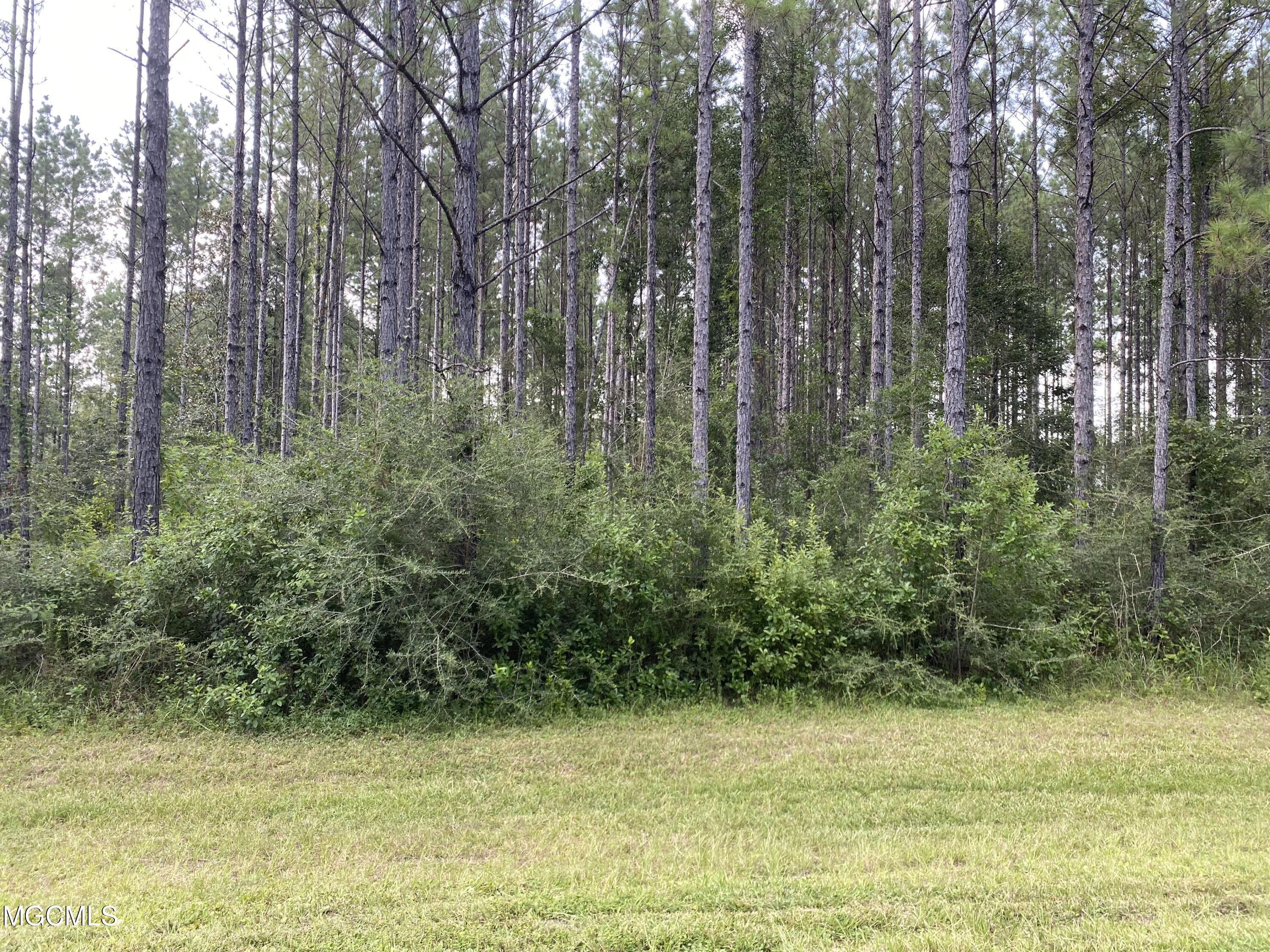 16613 Campground Road Vancleave, MS 39565 - Photo 3 of 3 3489F48E-0729-465A-B056-207AC2E18300