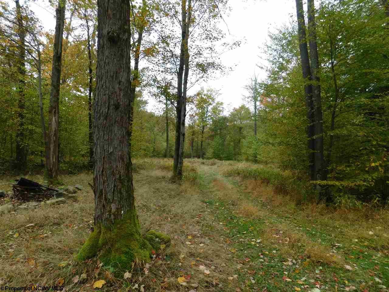 Tbd Scott Cramer Road Terra Alta, WV 26764 - Photo 17 of 19 Gallery Image 17