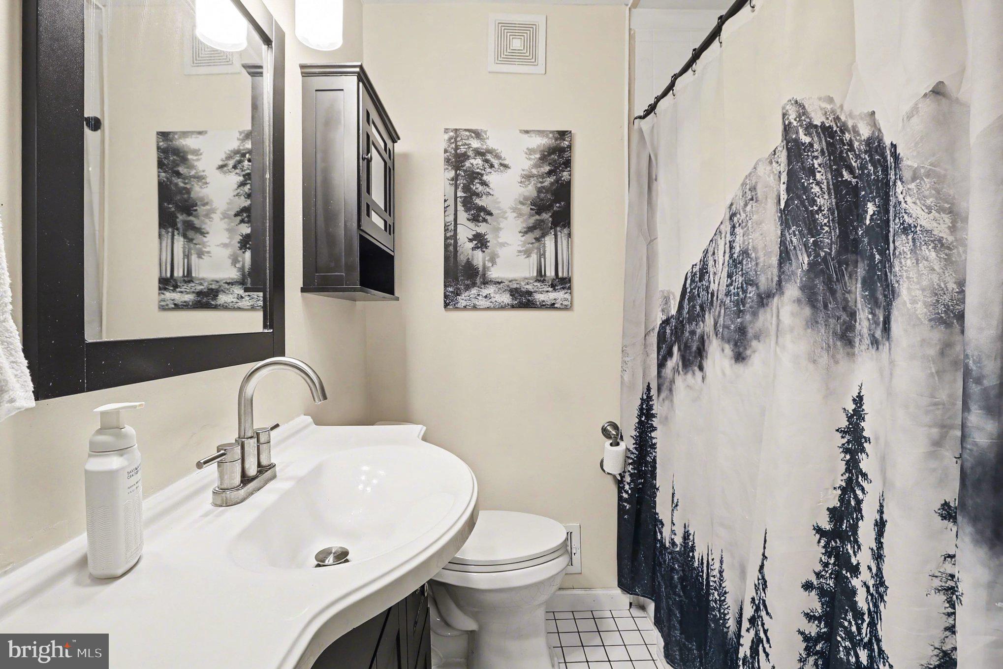 10414 Greentop Road Cockeysville, MD 21030 - Photo 20 of 39 Hall Full Bath with Tub/Shower Combination