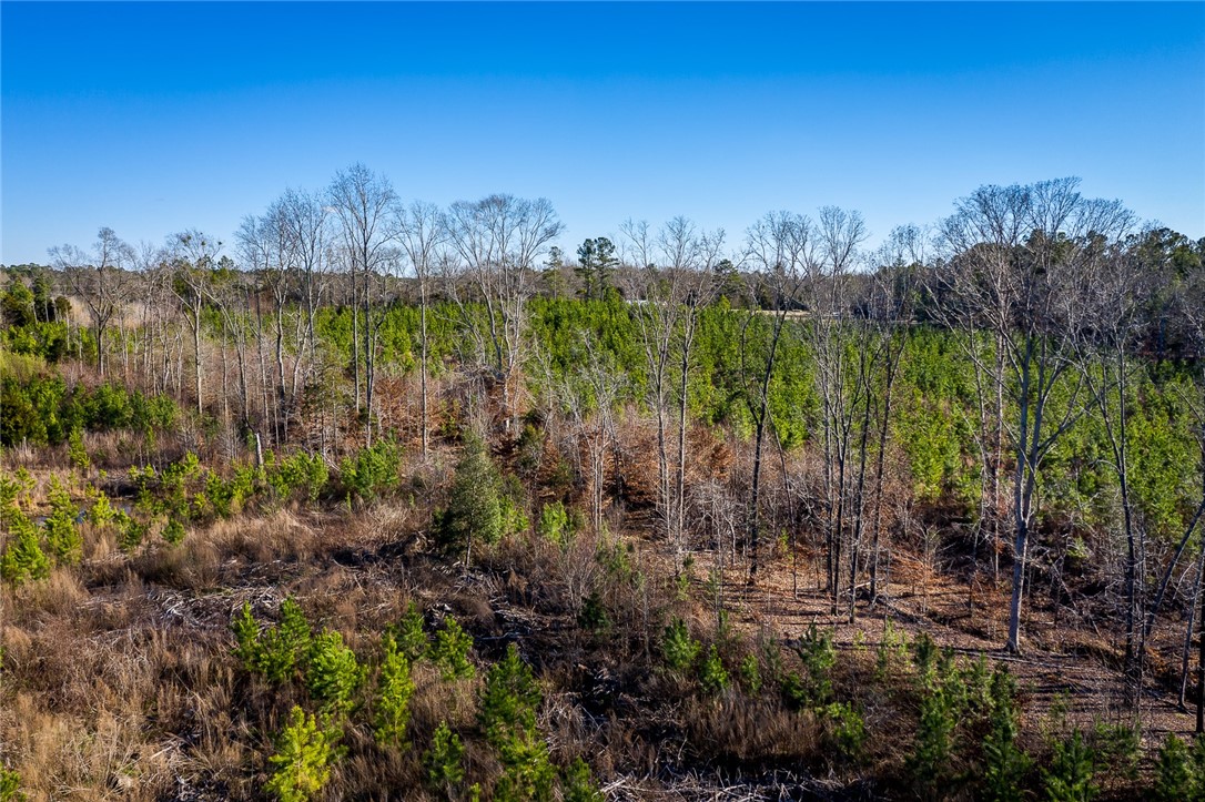 10920 Augusta Road Honea Path, SC 29654 - Photo 12 of 16