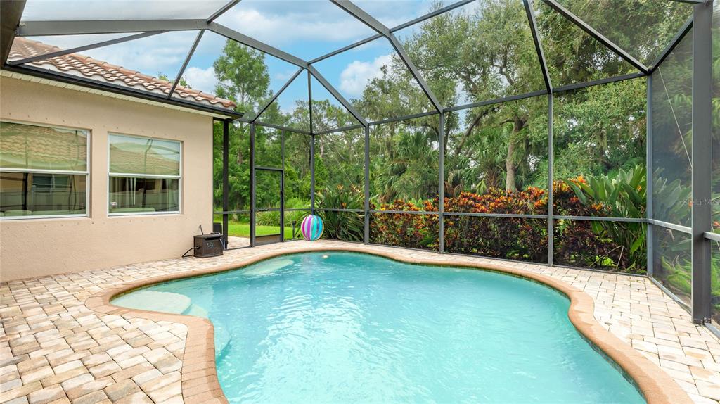 5621 Rock Dove Drive Sarasota, FL 34241 - Photo 39 of 49 a view of a swimming pool with a porch
