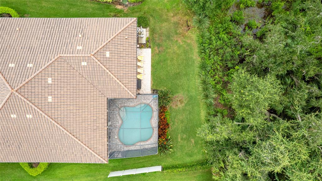 5621 Rock Dove Drive Sarasota, FL 34241 - Photo 46 of 49 a view of a backyard with plants