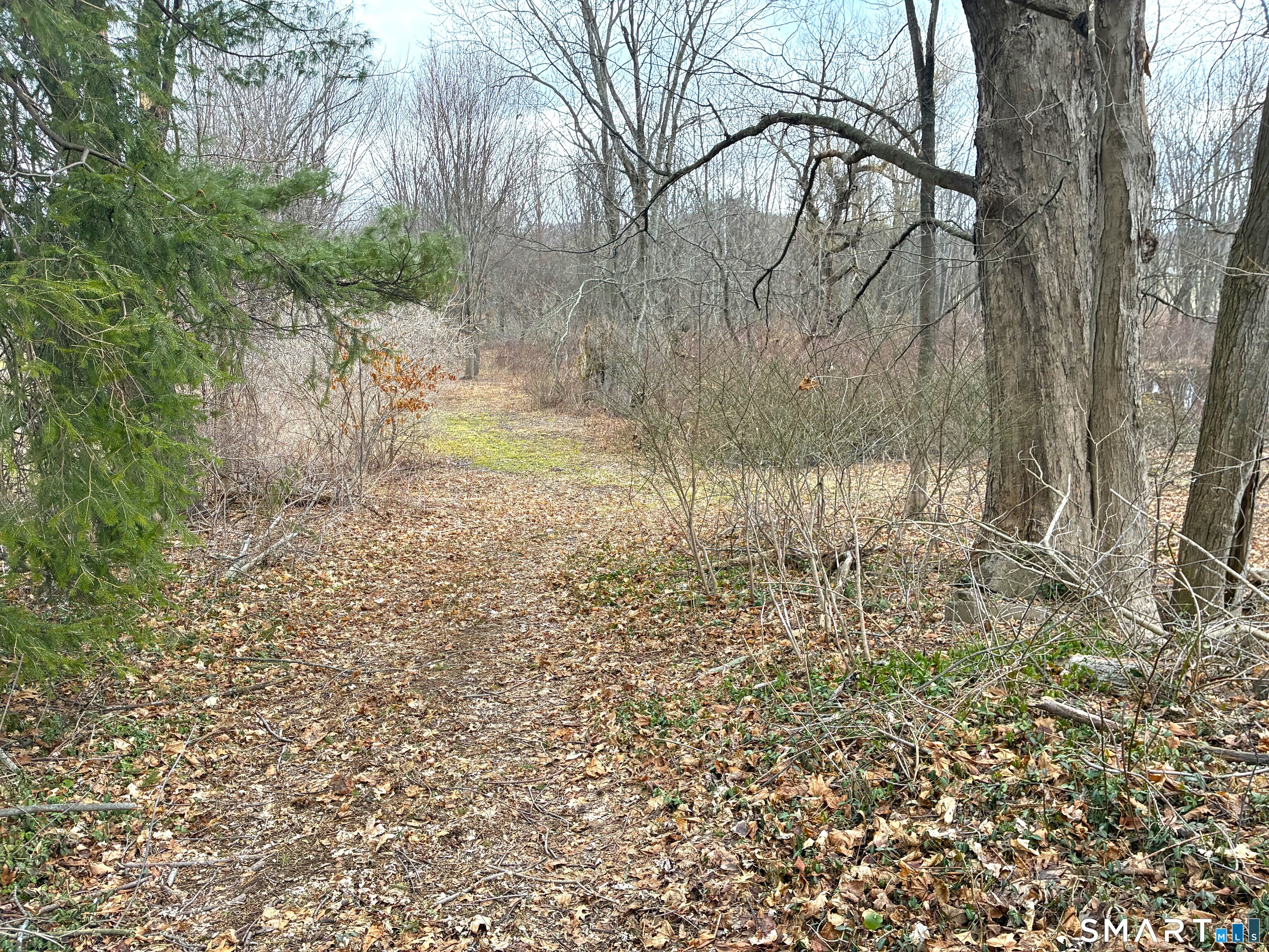 58 Maple Street Ellington, CT 06029 - Photo 11 of 55 Enjoy walking trails throughout the property.