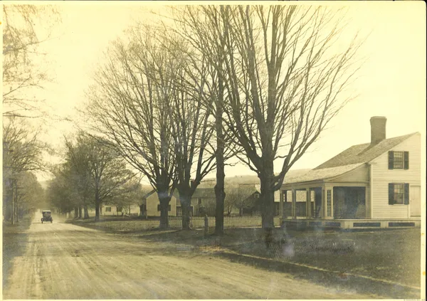 a view of a yard with a large tree