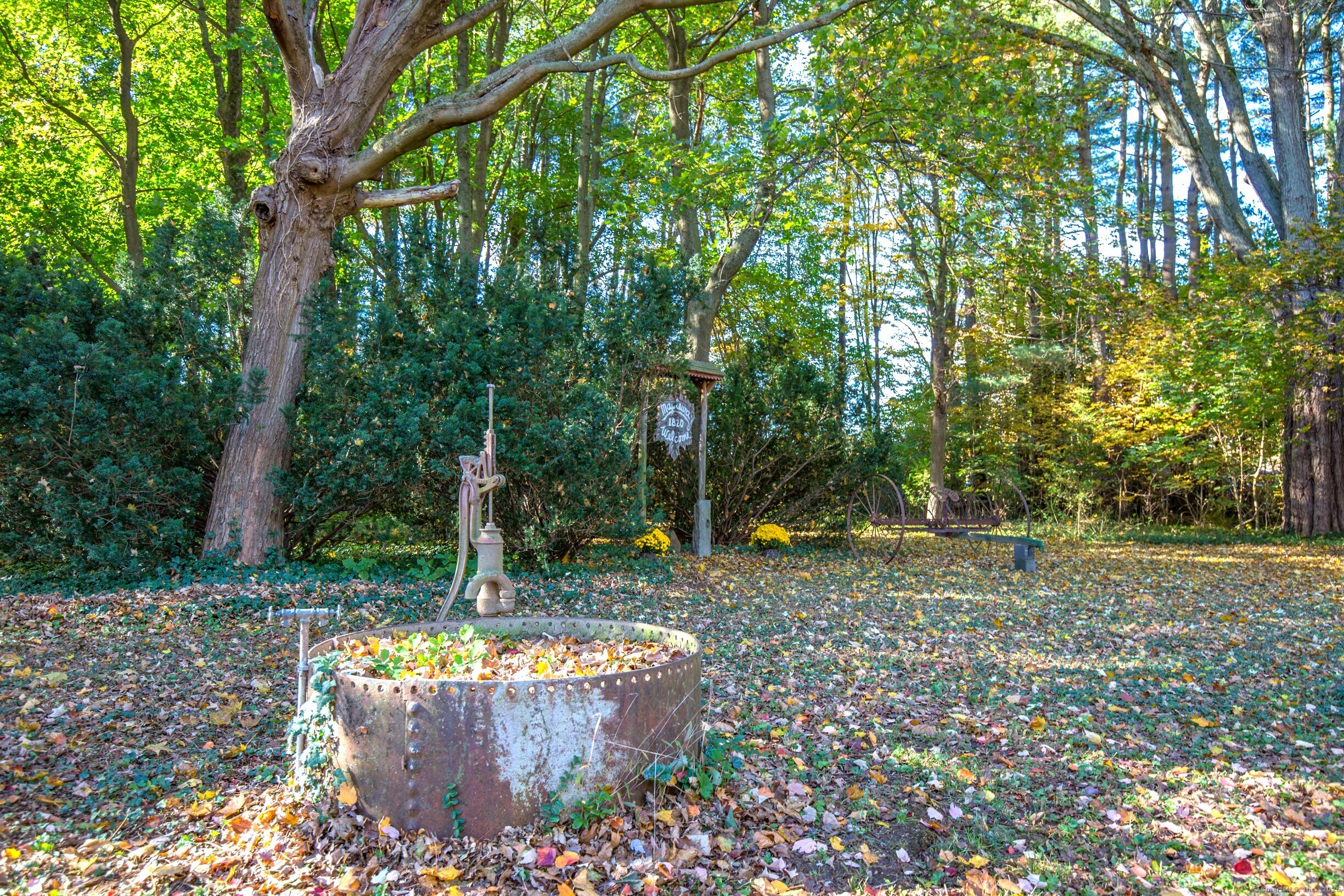 58 Maple Street Ellington, CT 06029 - Photo 24 of 55 a view of a backyard with trees