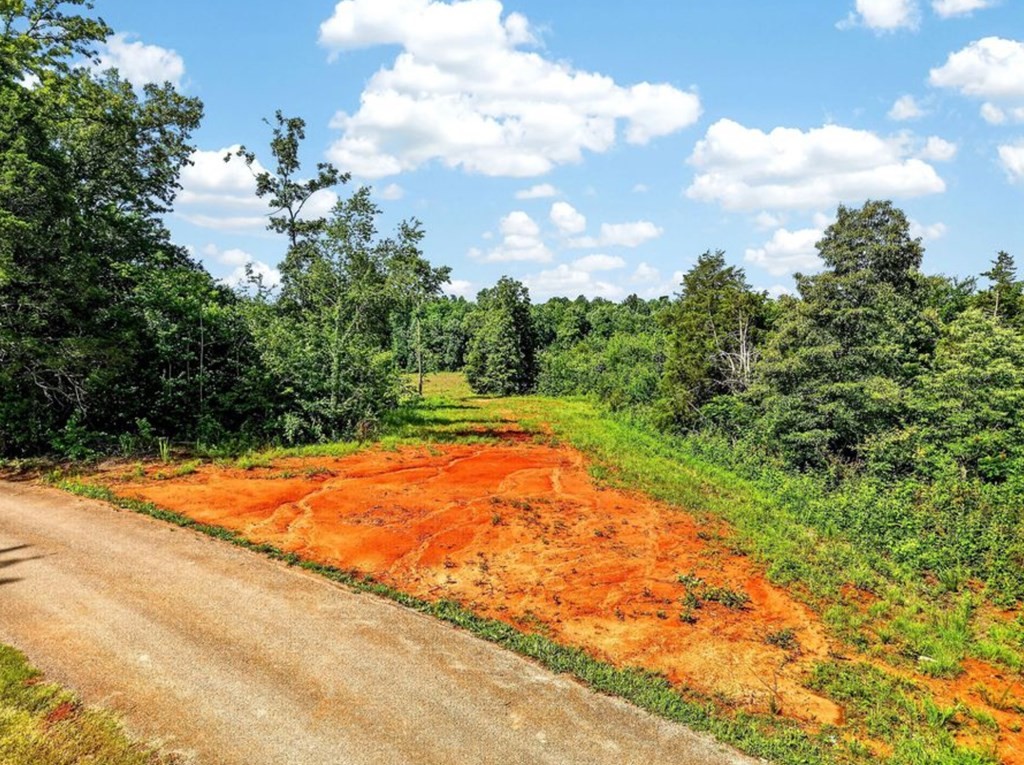 0 Massa Road Baxter, TN 38544 - Photo 4 of 22