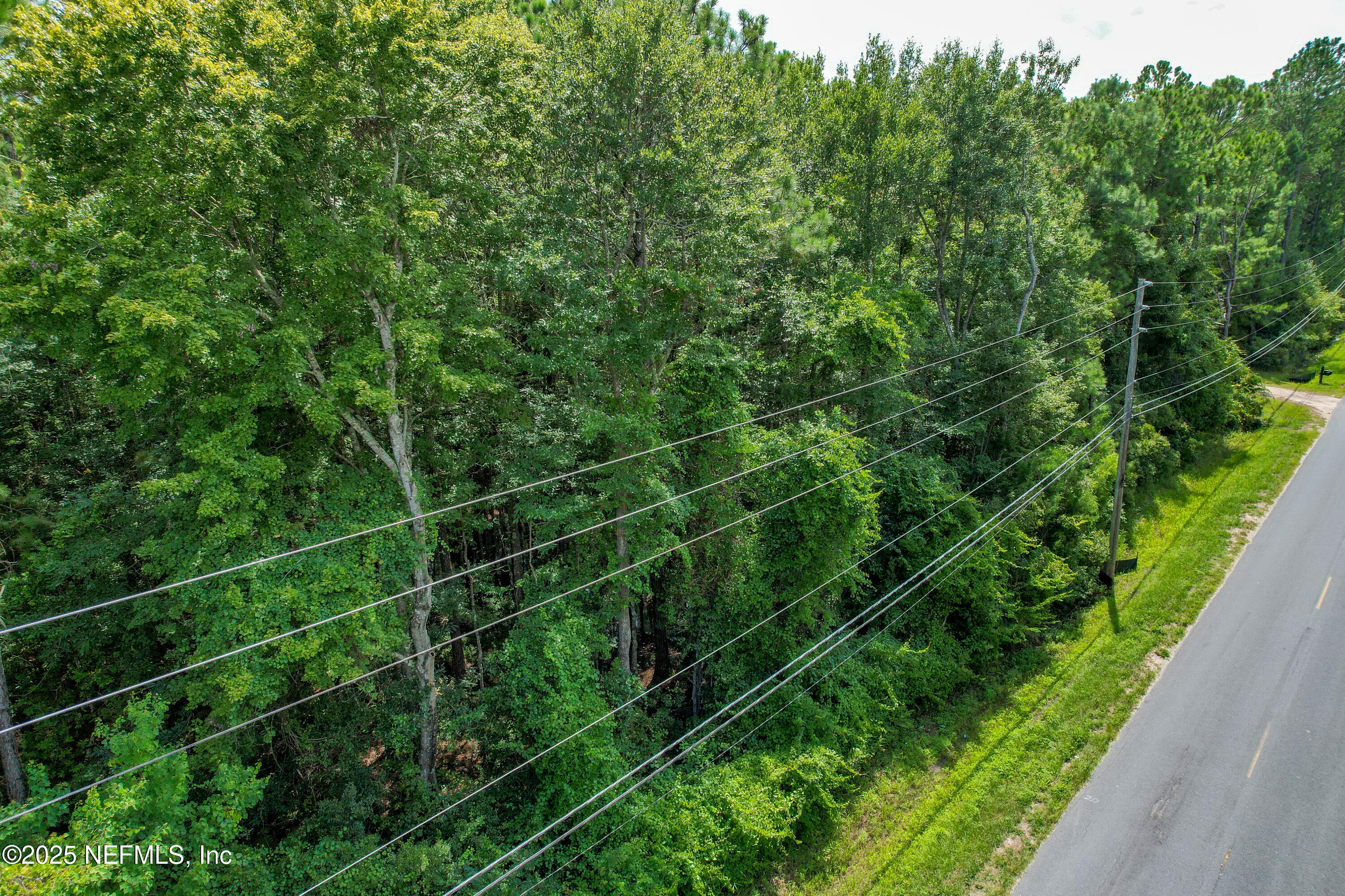 0 Hendricks Road Fernandina Beach, FL 32034 - Photo 4 of 15 0 Hendricks Rd_K2 Edit-7