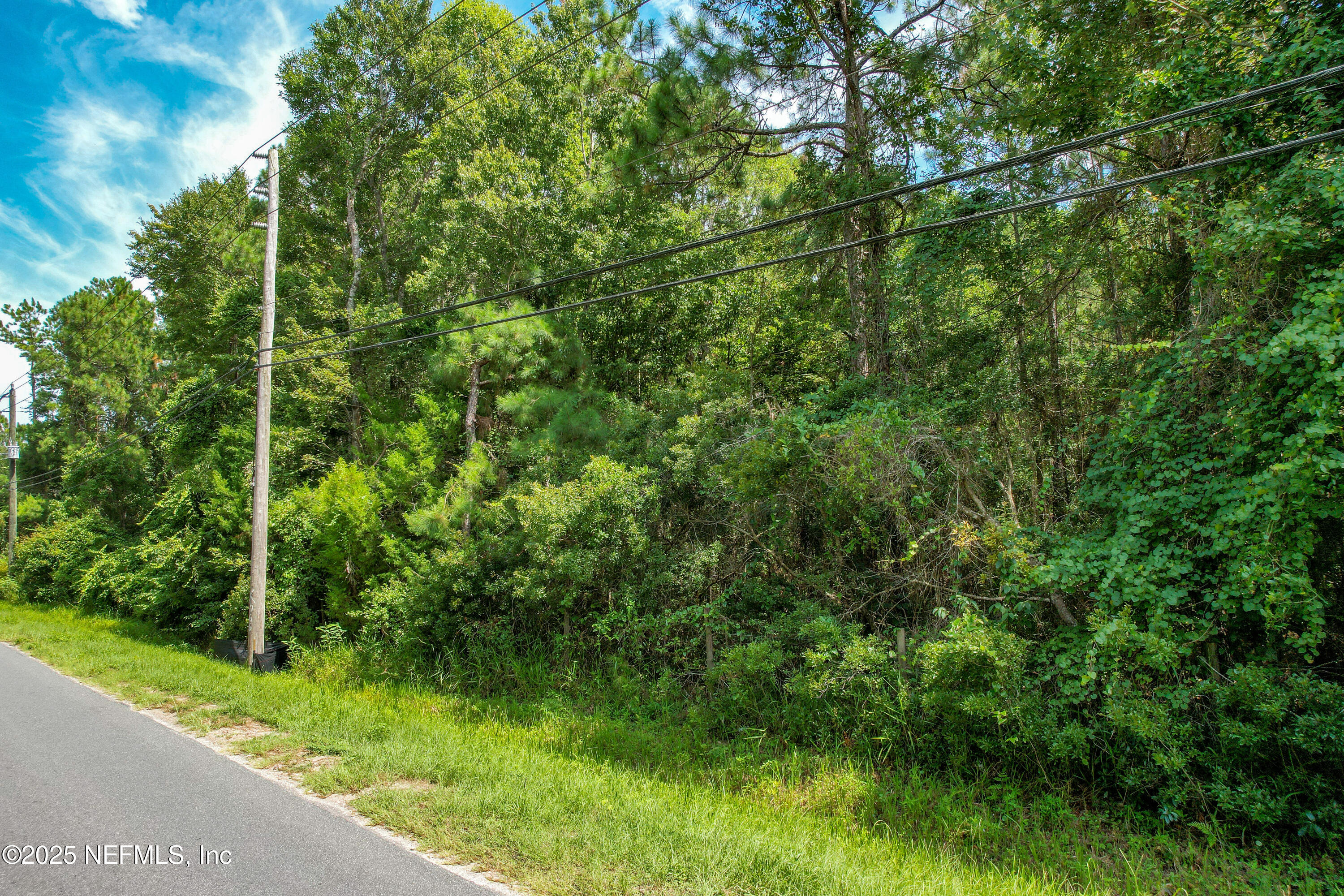 0 Hendricks Road Fernandina Beach, FL 32034 - Photo 8 of 15 0 Hendricks Rd_K2 Edit-4