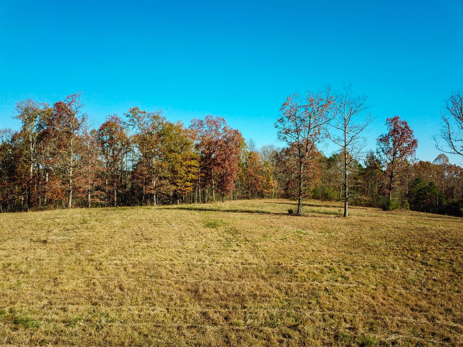 999 Red Davidson Road McKee, KY 40447 - Photo 22 of 45 Photo 22
