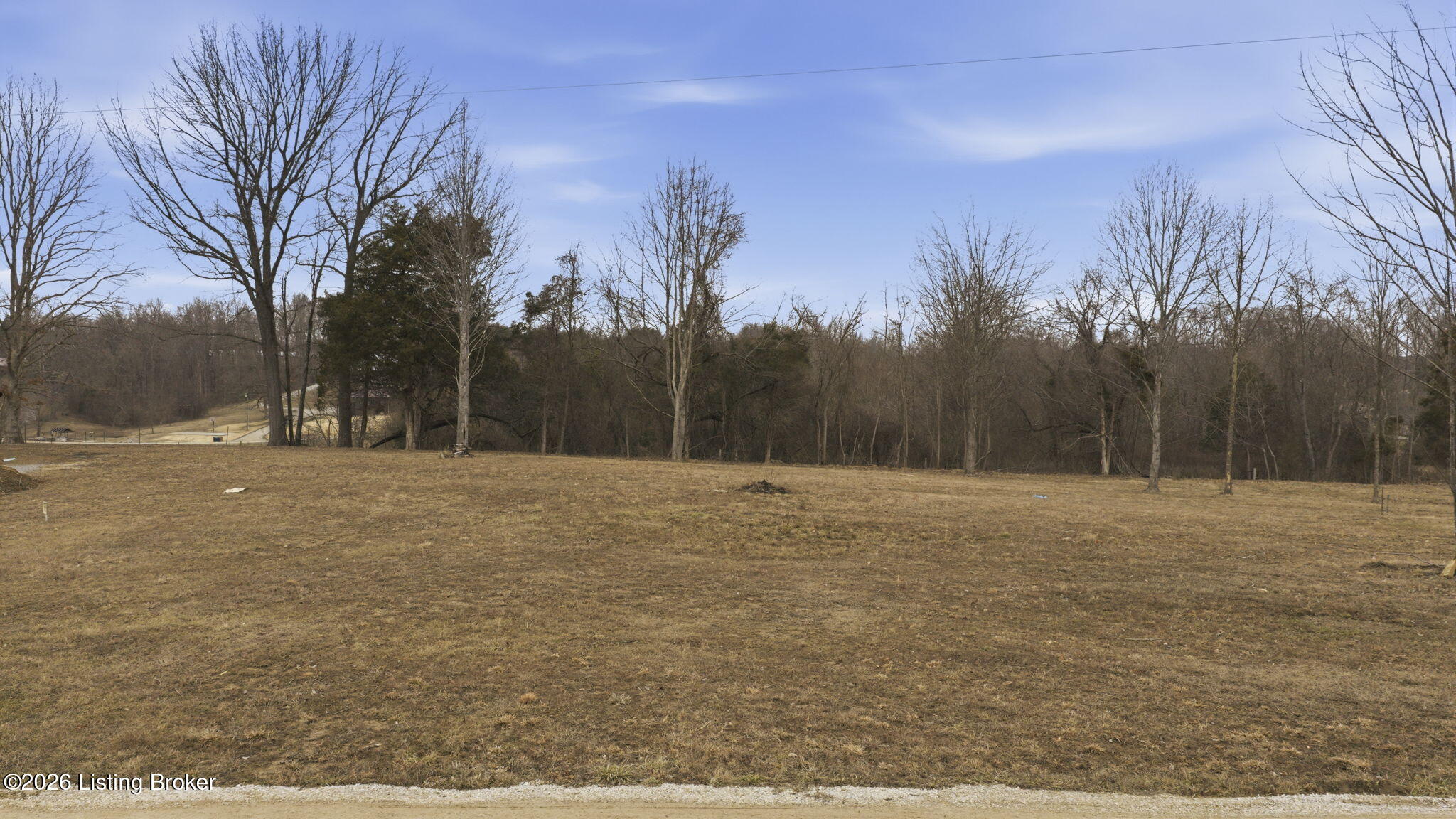 60 Tyler Ridge Drive Clarkson, KY 42726 - Photo 8 of 8 9-web-or-mls-DJI_20260218150934_0207_D