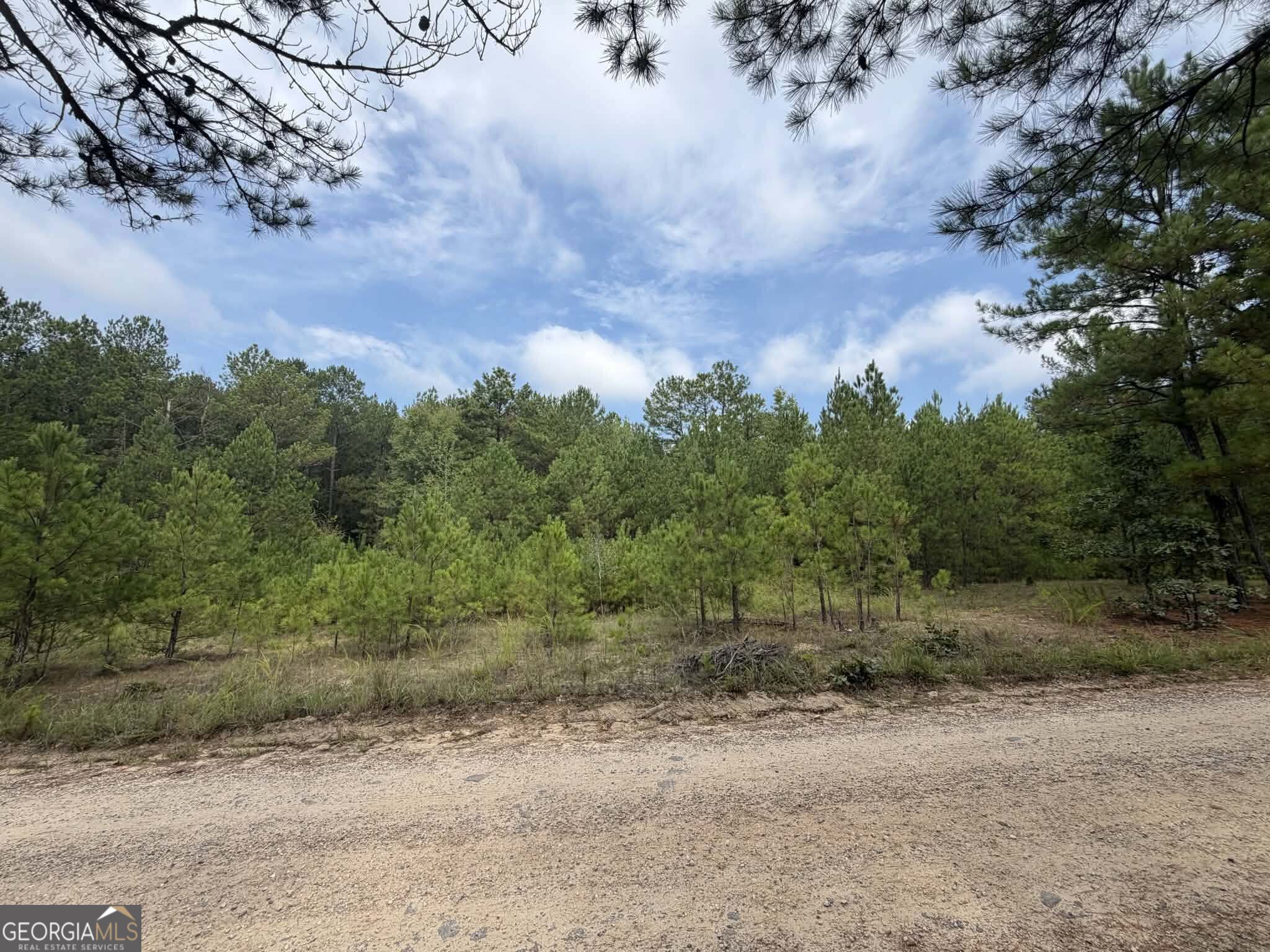 0 Smith Mill Road Monticello, GA 31064 - Photo 6 of 10 Gallery Image 6