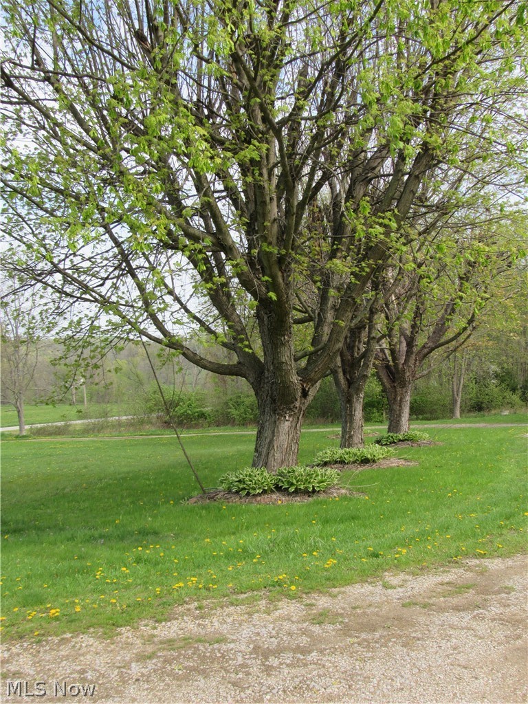 87525 Reed Road Uhrichsville, OH 44683 - Photo 3 of 15 Gallery Image 3