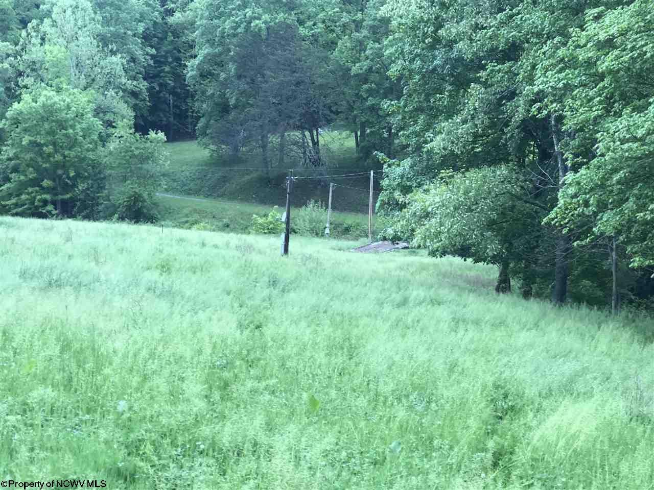 0 Crooked Fork Road Gassaway, WV 26624 - Photo 2 of 8 Gallery Image 2