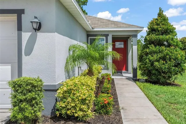 a view of a pathway with flower plants