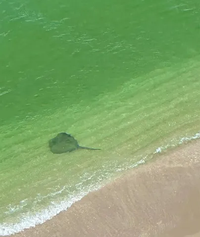 a spacious bedroom with a bed a table chair and a view of bedroom
