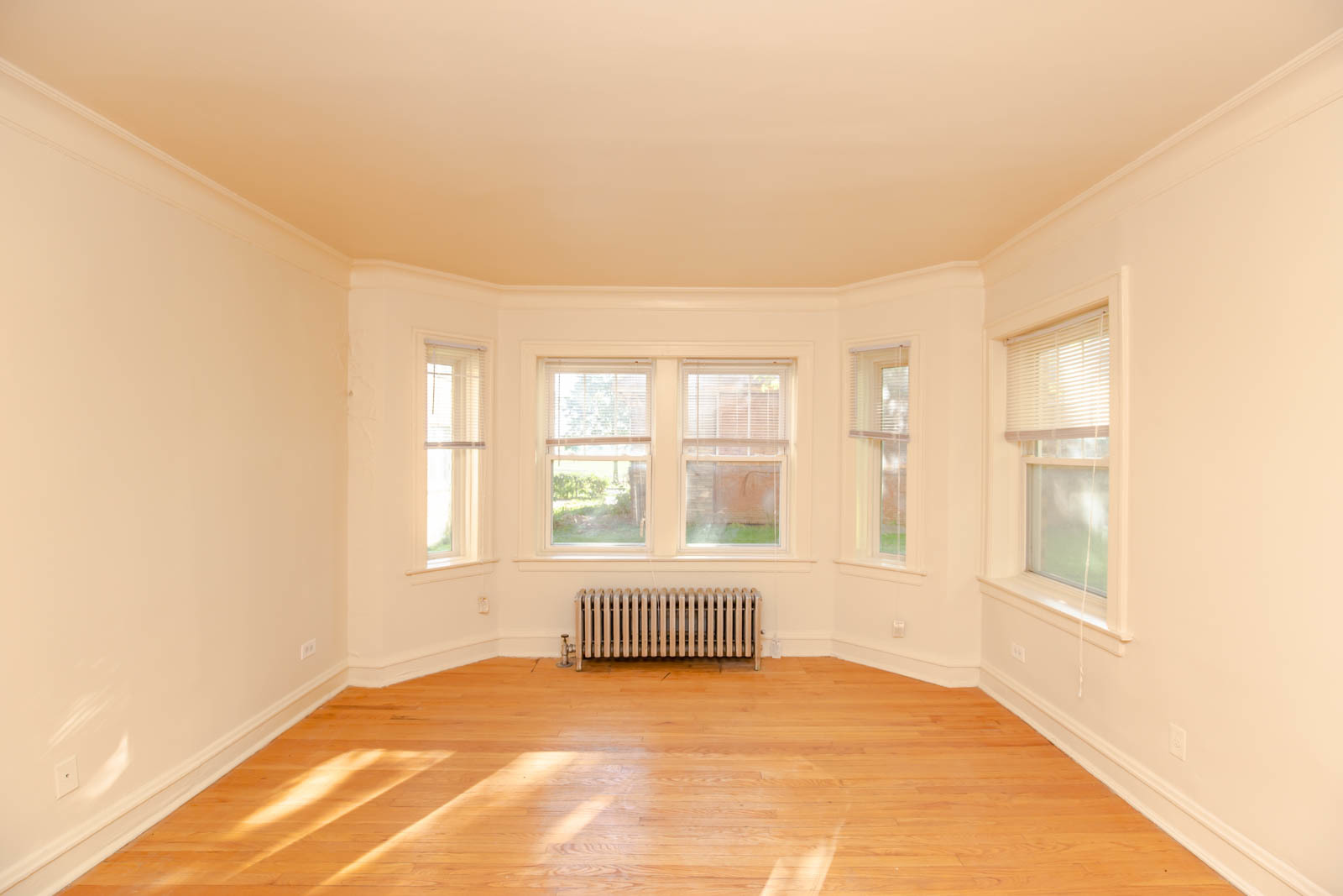 10981 South Church Street, Unit 1B Chicago, IL 60643 - Photo 7 of 11