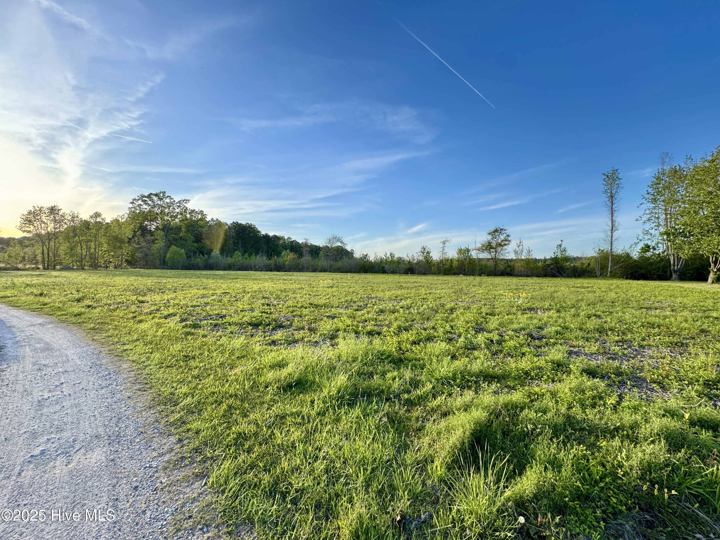206 Meadowbrook Lane Washington, NC 27889 - Photo 3 of 14 10981F18-D68C-4C4F-8002-8F04B9A71C81_1_2
